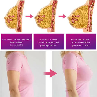 파파야 가슴 맛 차 유방 증강 빠른 성장 강화 보관 기간 24 개월